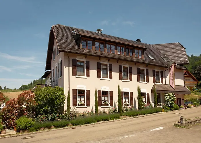 Rebstock Kappelwindeck